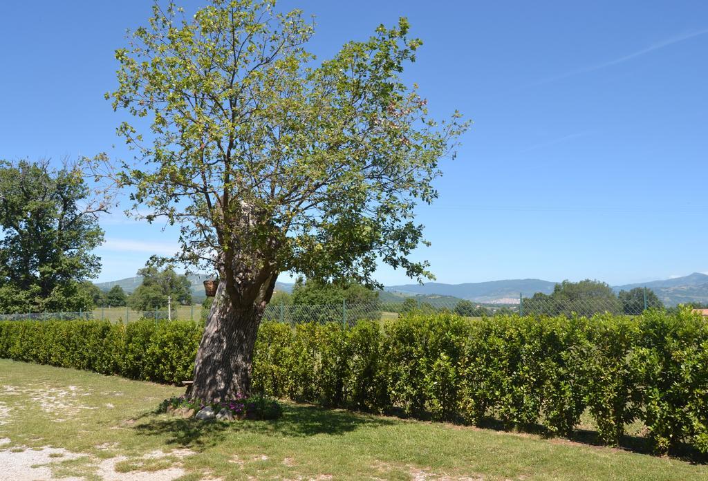 فندق Al Bosco Delle Api Gallicchio المظهر الخارجي الصورة