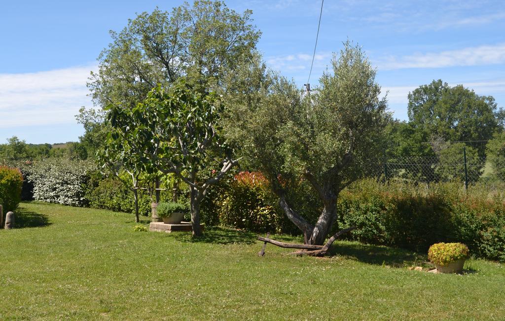 فندق Al Bosco Delle Api Gallicchio المظهر الخارجي الصورة